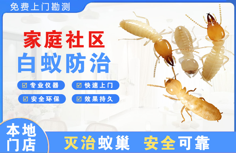 随州家庭社区白蚁防治