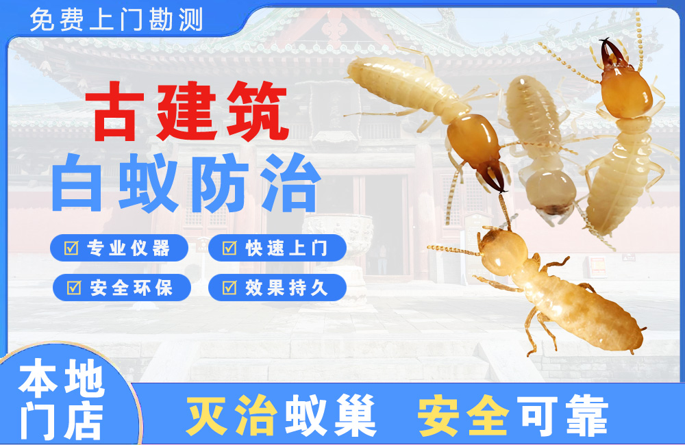 随州古建筑白蚁防治